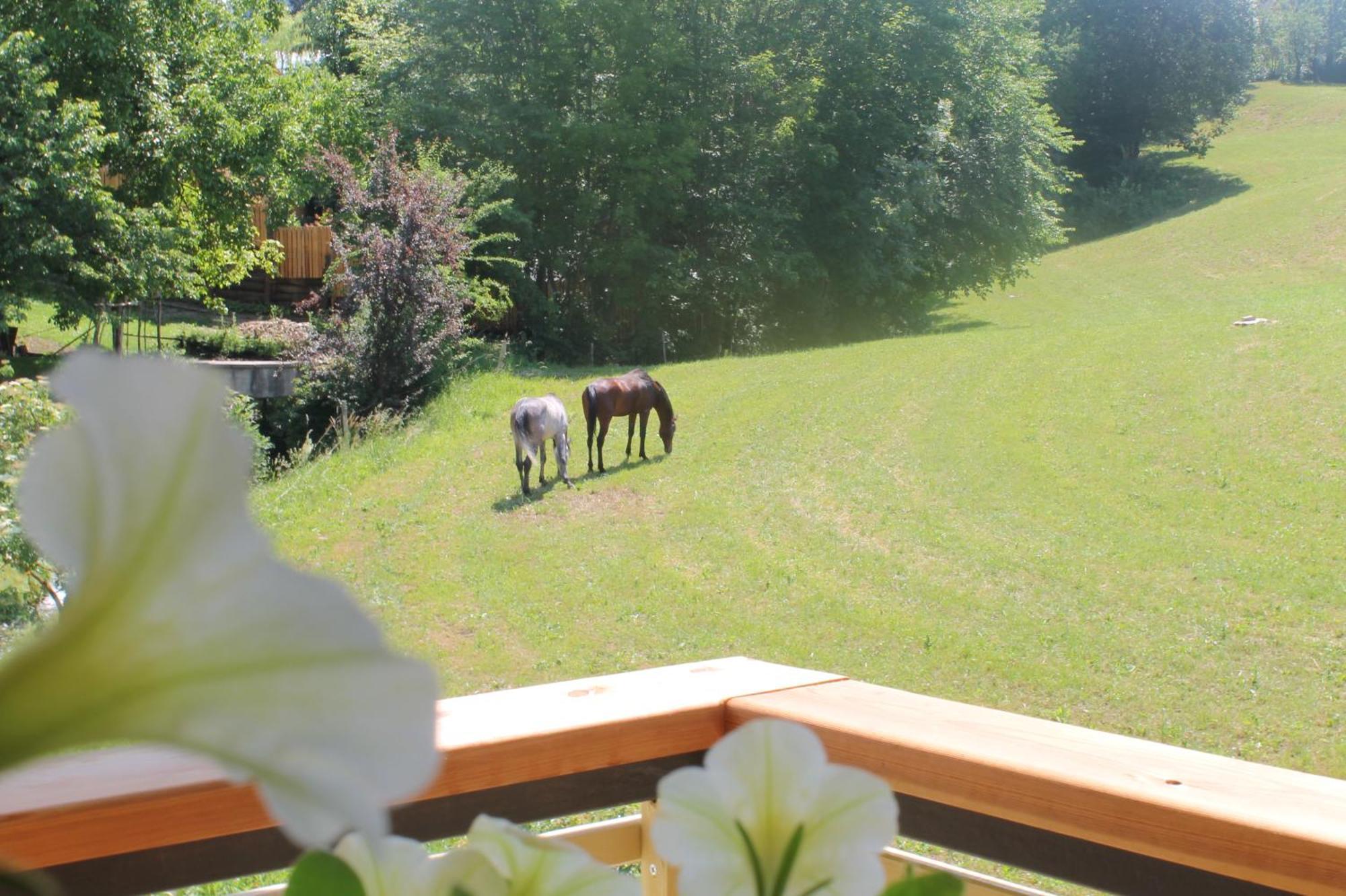 فيلا House Gabrijel With Four Seasons Outdoor Kitchen بليد المظهر الخارجي الصورة